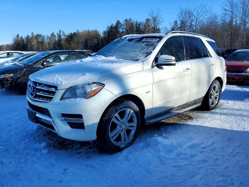 MERCEDES-BENZ ML 2012 with VIN 4JGDA2EB5CA017164 - Photo from auction