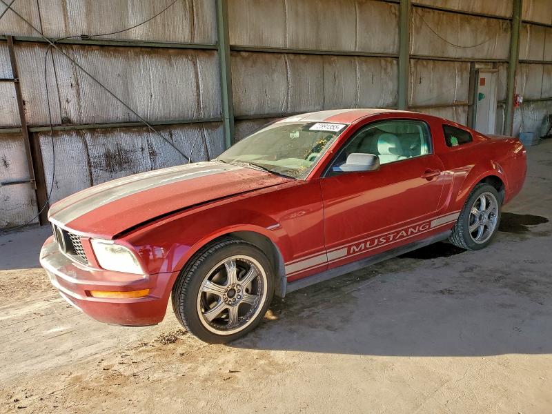 FORD MUSTANG 2008 with VIN 1ZVHT80N885111184 - Photo from auction