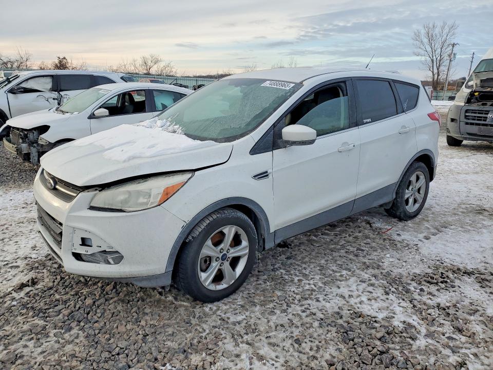 FORD ESCAPE SE 2014 with VIN 1FMCU0G98EUD48596 - Photo from auction