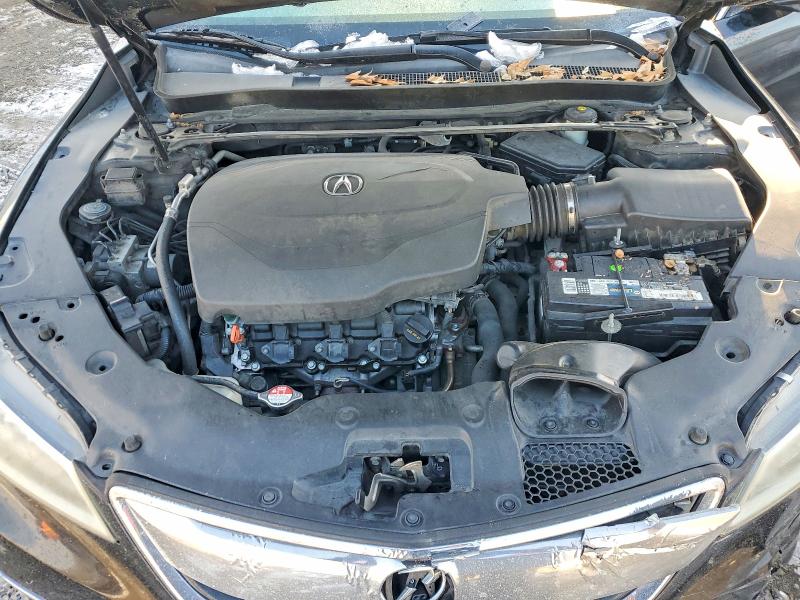 Photo 11 from auction – 2015 ACURA TLX TECH with VIN 19UUB2F57FA008028