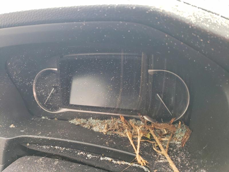 Photo 9 from auction – 2025 HONDA PASSPORT with VIN 5FNYF8H54SB007277