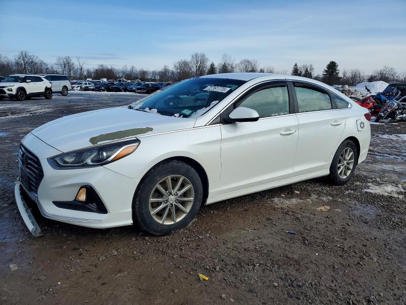 HYUNDAI SONATA 2019 with VIN 5NPE24AF8KH784282 - Photo from auction