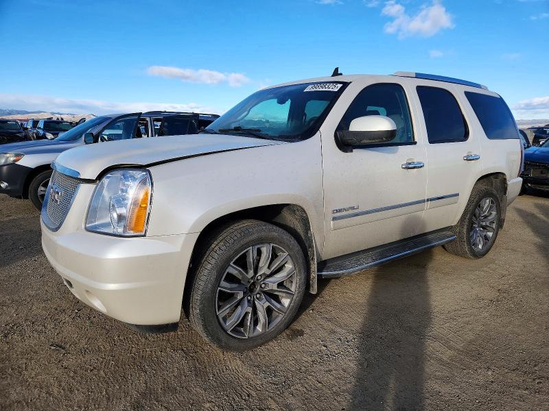 GMC YUKON DENA 2011 with VIN 1GKS2EEF4BR253855 - Photo from auction
