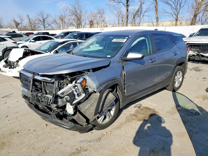 GMC TERRAIN 2024 with VIN 3GKALMEG2RL231804 - Photo from auction