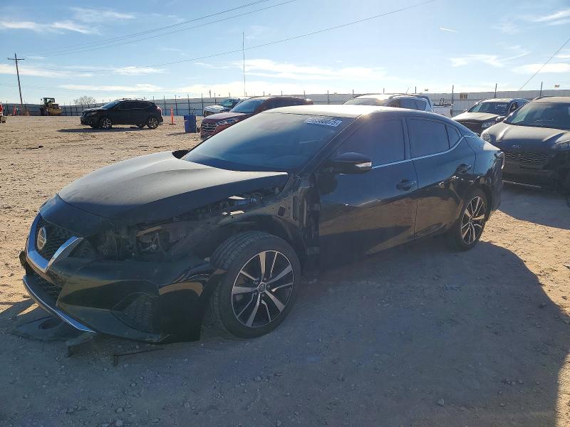 NISSAN MAXIMA SV 2021 with VIN 1N4AA6CV3MC513801 - Photo from auction