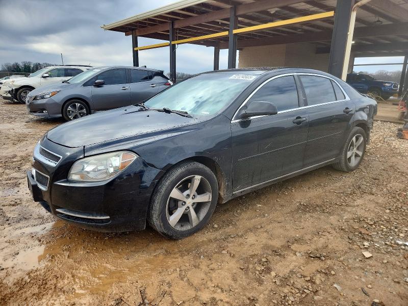 CHEVROLET MALIBU 1LT 2011 with VIN 1G1ZC5E18BF316879 - Photo from auction