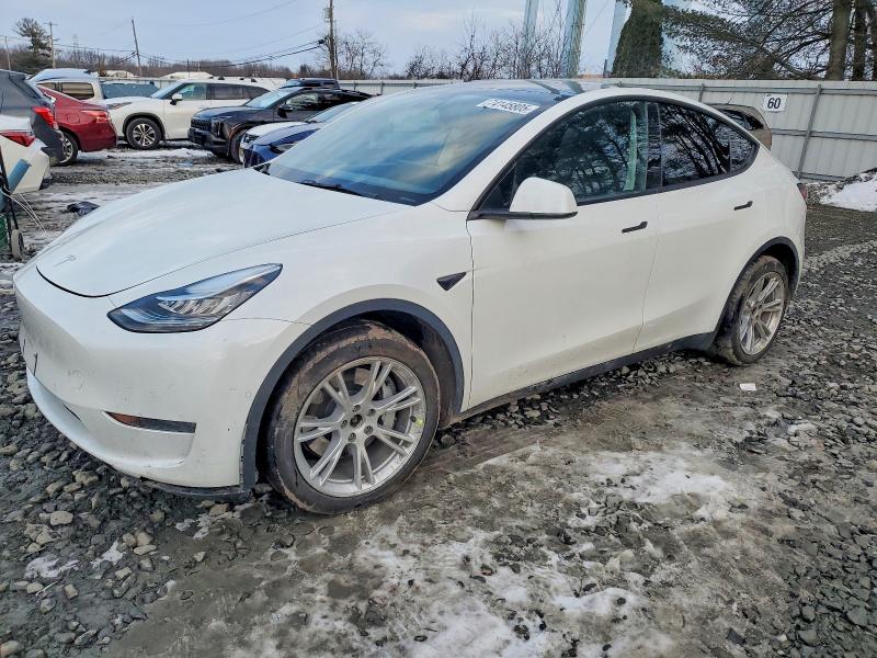 TESLA MODEL Y 2022 with VIN 7SAYGDEE8NF308376 - Photo from auction