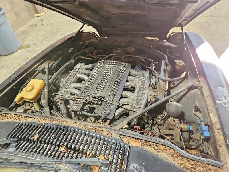 Photo 11 from auction – 1995 JAGUAR XJS 2+2 with VIN SAJNX2344SC197799