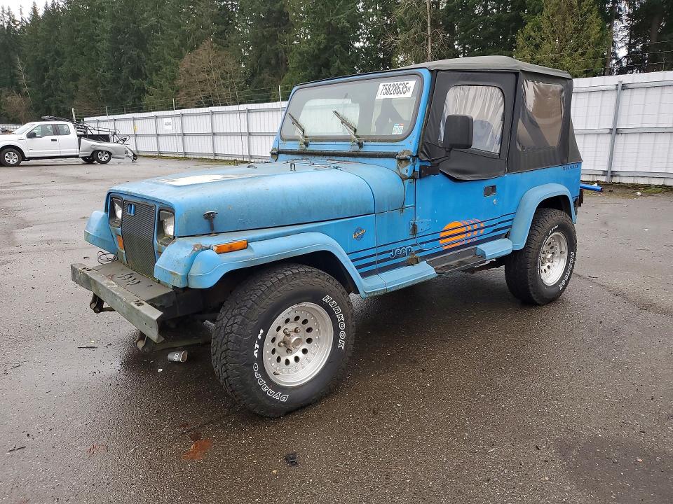 JEEP WRANGLER / 1990 with VIN 2J4FY39T5LJ500675 - Photo from auction