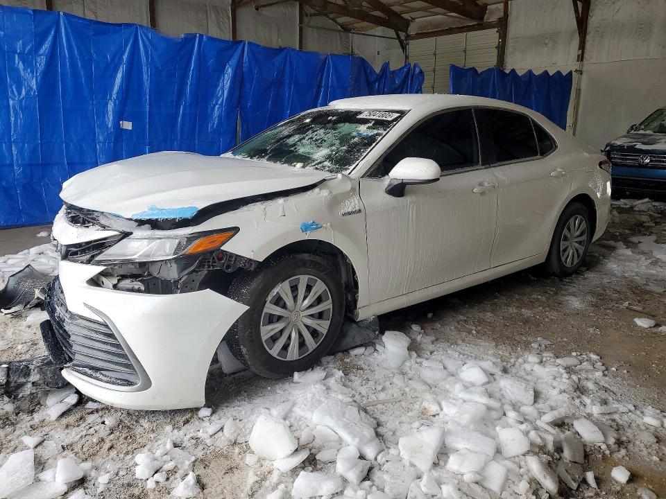 TOYOTA CAMRY 2021 with VIN 4T1C31AKXMU022589 - Photo from auction