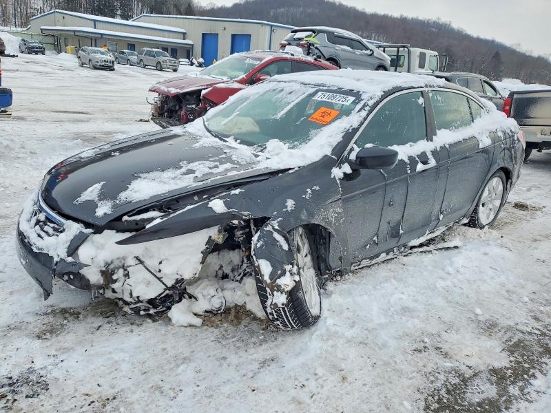 HONDA ACCORD EXL 2010 with VIN 1HGCP3F88AA800906 - Photo from auction