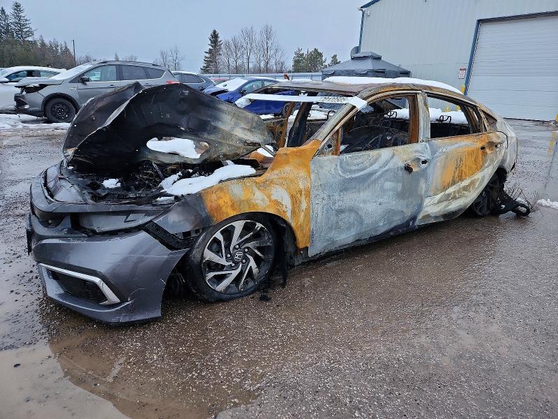 HONDA CIVIC 2019 with VIN 2HGFC2F75KH017829 - Photo from auction