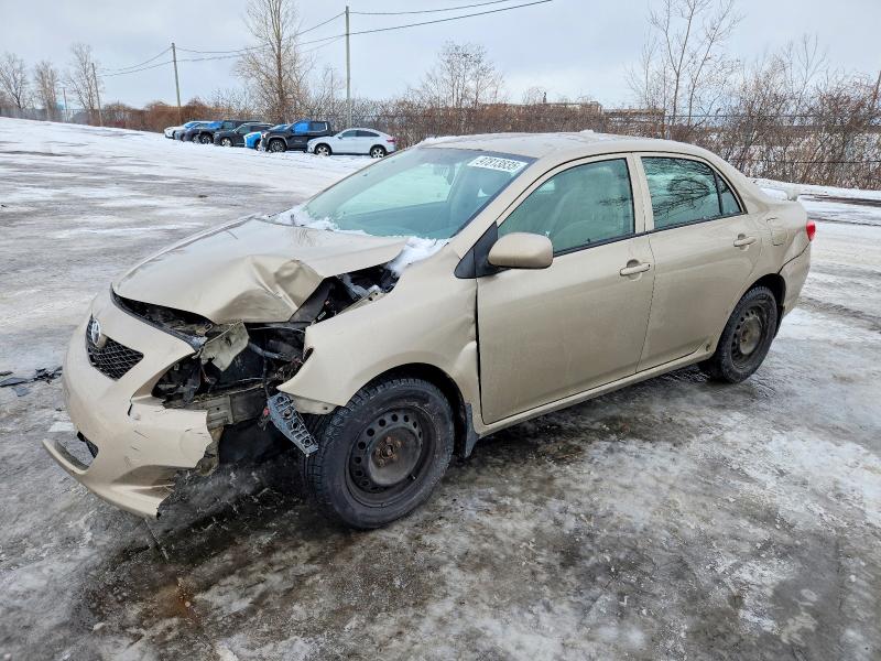 TOYOTA COROLLA BA 2010 with VIN 2T1BU4EE7AC252392 - Photo from auction
