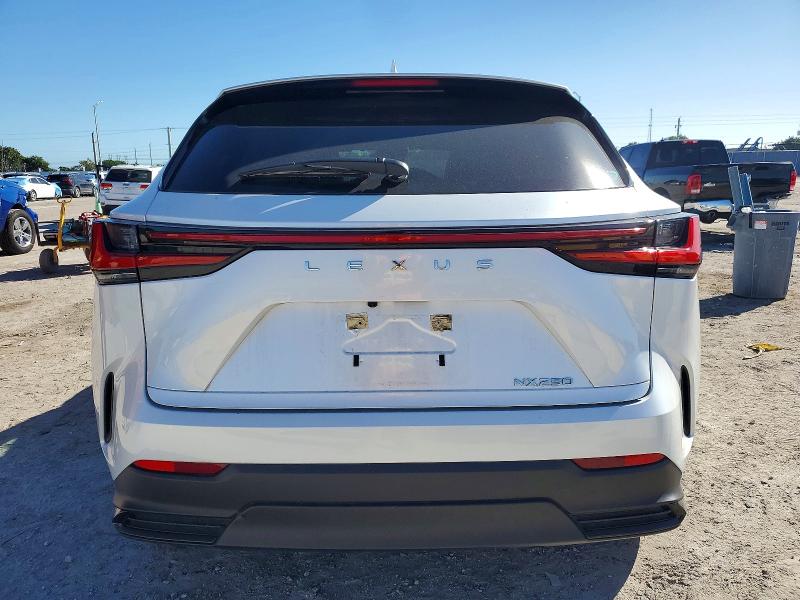 Photo 6 from auction – 2024 LEXUS NX 250 BAS with VIN JTJADCAZ0R5013755