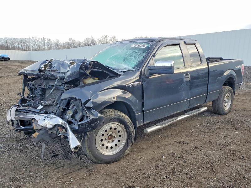 FORD F150 2014 with VIN 1FTFX1EF4EFA79251 - Photo from auction