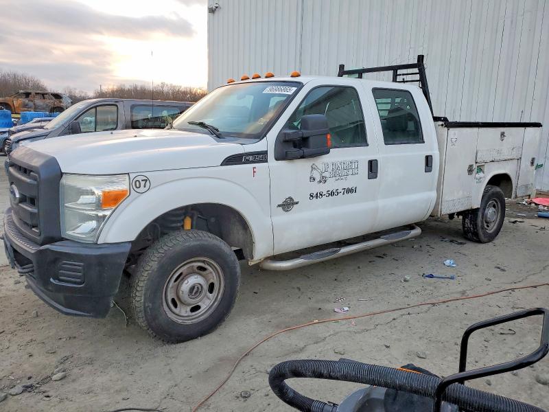 FORD F350 2012 with VIN 1FT8W3BT1CEA10053 - Photo from auction