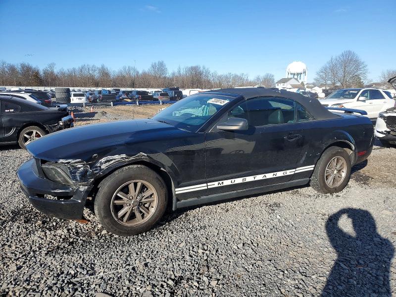 Photo 1 from auction – 2005 FORD MUSTANG with VIN 1ZVFT84N855255041