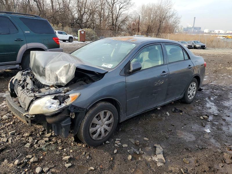 TOYOTA COROLLA BA 2010 with VIN 2T1BU4EE5AC302867 - Photo from auction