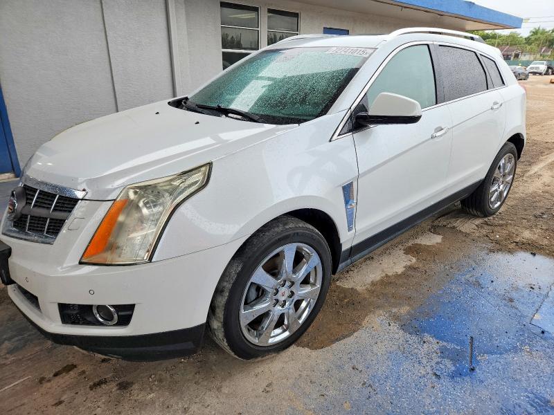 CADILLAC SRX PREMIU 2012 with VIN 3GYFNFE38CS648257 - Photo from auction