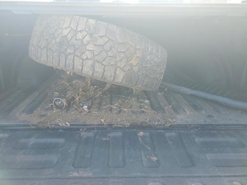 Photo 12 from auction – 2018 FORD F150 with VIN 1FTEW1EP9JKF66776