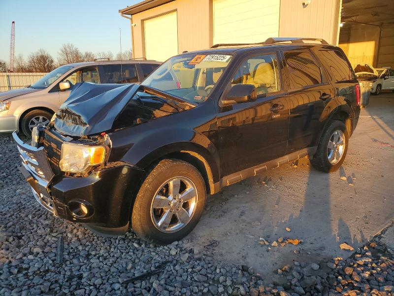 FORD ESCAPE LIM 2010 with VIN 1FMCU0E78AKB52486 - Photo from auction