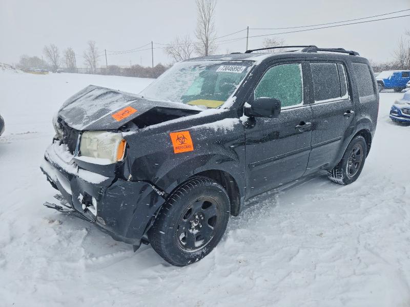 HONDA PILOT EXL 2010 with VIN 5FNYF4H50AB504026 - Photo from auction
