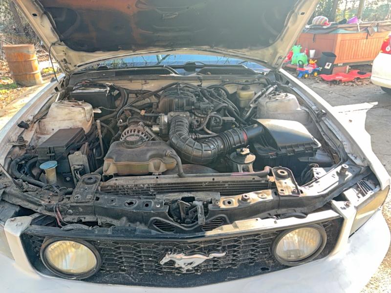 Photo 7 from auction – 2007 FORD MUSTANG with VIN 1ZVFT80N775365846