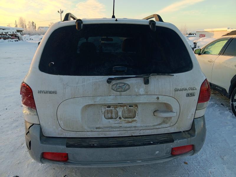 Photo 6 from auction – 2005 HYUNDAI SANTA FE with VIN KM8SC13E65U964059