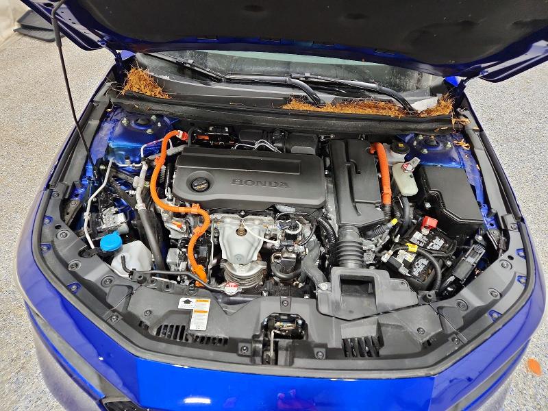 Photo 11 from auction – 2025 HONDA ACCORD with VIN 1HGCY2F72SA801808