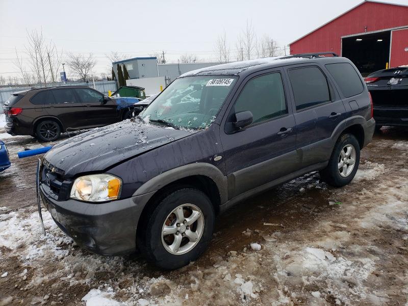MAZDA TRIBUTE 2006 with VIN 4F2YZ02146KM16547 - Photo from auction