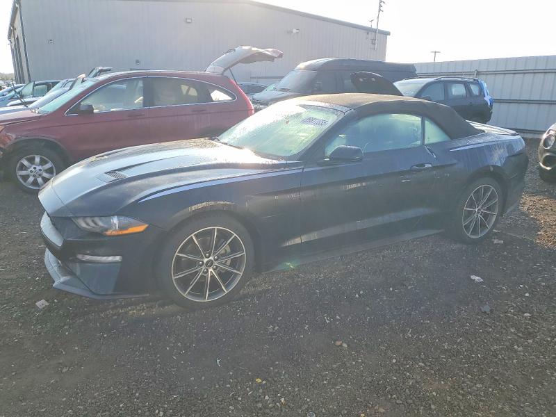 FORD MUSTANG 2019 with VIN 1FATP8UH4K5149692 - Photo from auction