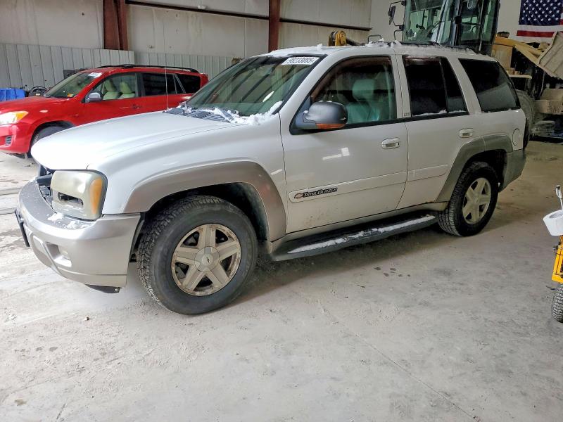 CHEVROLET TRAILBLAZE 2003 with VIN 1GNDT13S432295048 - Photo from auction