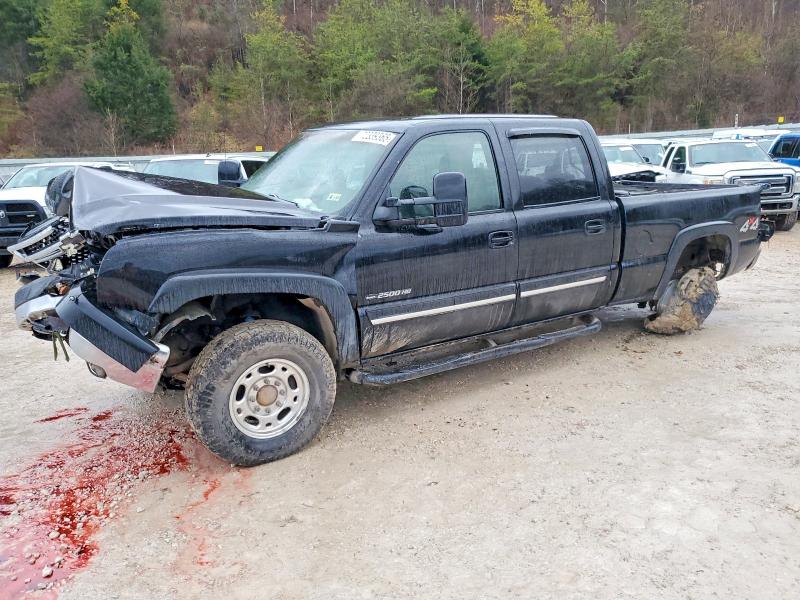 CHEVROLET SILVERADO 2003 with VIN 1GCHK23G03F111005 - Photo from auction