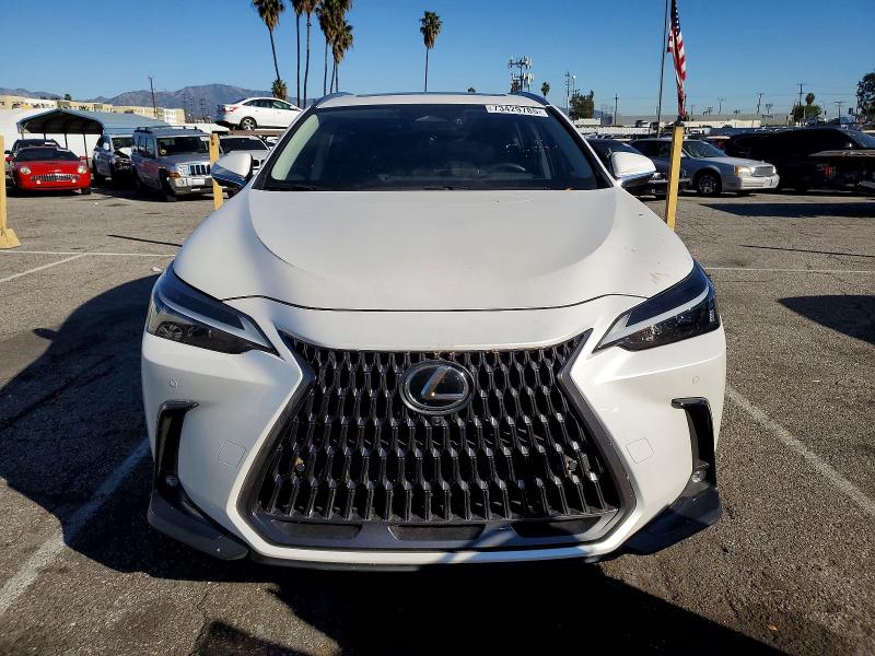 Photo 5 from auction – 2024 LEXUS NX 350H BA with VIN JTJGKCEZ1R2033489