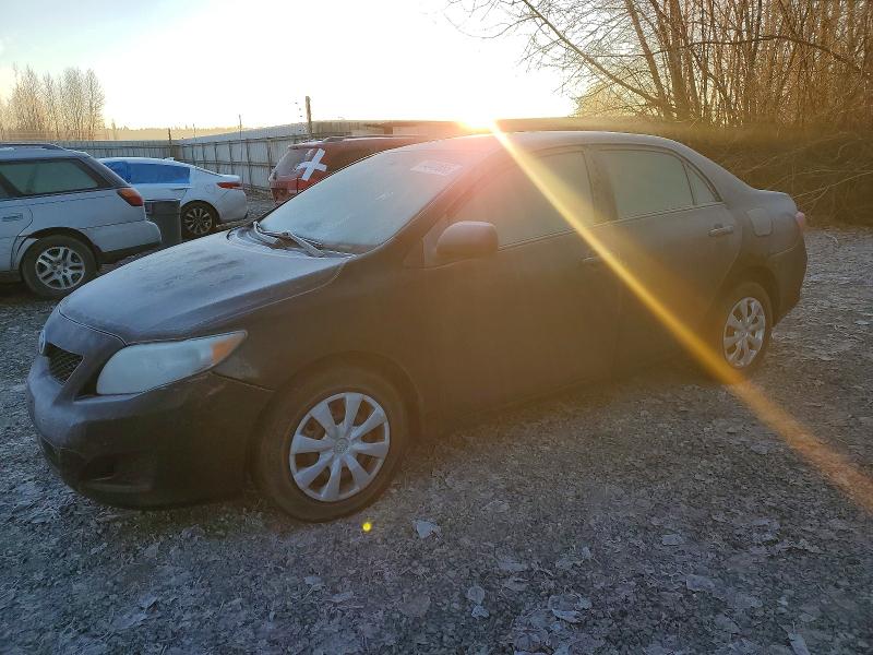 TOYOTA COROLLA BA 2010 with VIN 1NXBU4EE6AZ204896 - Photo from auction