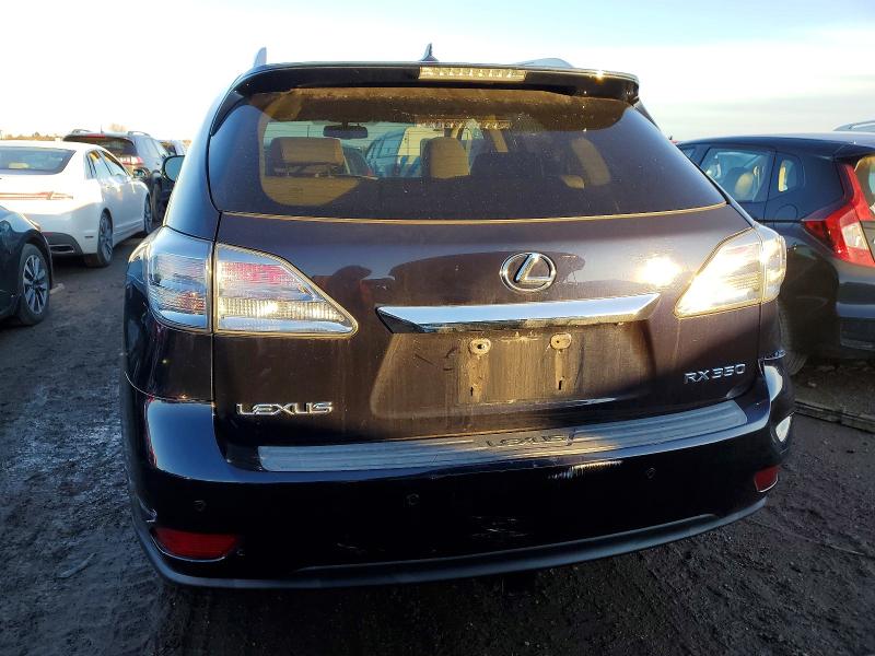 Photo 6 from auction – 2010 LEXUS RX 350 with VIN 2T2BK1BA5AC049311