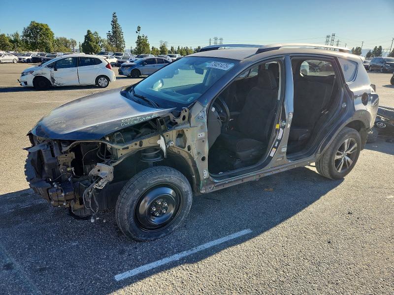 TOYOTA RAV4 XLE 2016 with VIN 2T3WFREV6GW235512 - Photo from auction