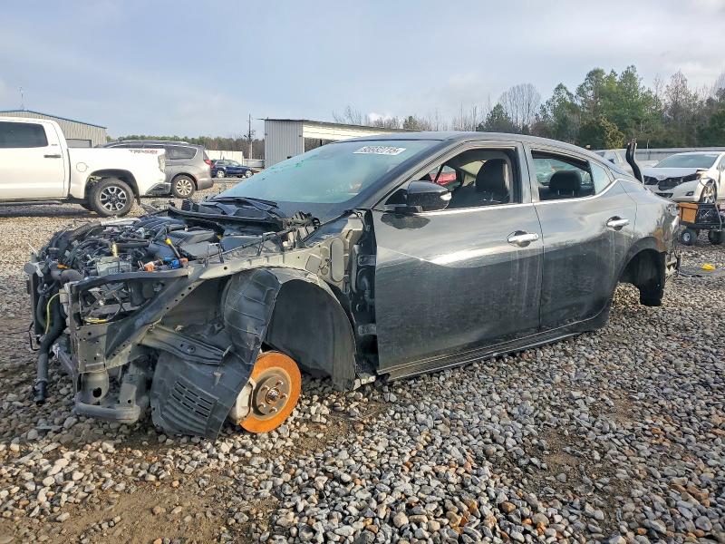 NISSAN MAXIMA 2023 with VIN 1N4AA6CV0PC511461 - Photo from auction