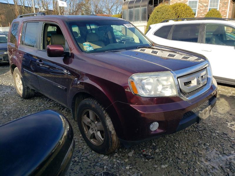 Photo 4 from auction – 2010 HONDA PILOT EXL with VIN 5FNYF4H53AB009626