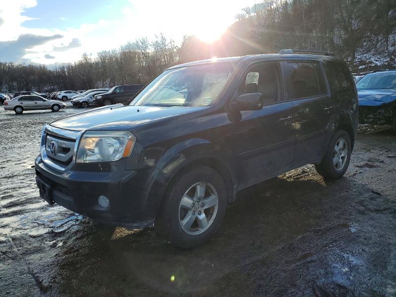 HONDA PILOT EXL 2011 with VIN 5FNYF4H51BB048829 - Photo from auction