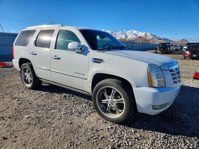 Photo 4 from auction – 2010 CADILLAC ESCALADE P with VIN 1GYUKCEF0AR248072
