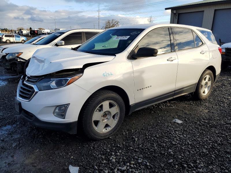 CHEVROLET EQUINOX LS 2019 with VIN 3GNAXSEV6KS517645 - Photo from auction