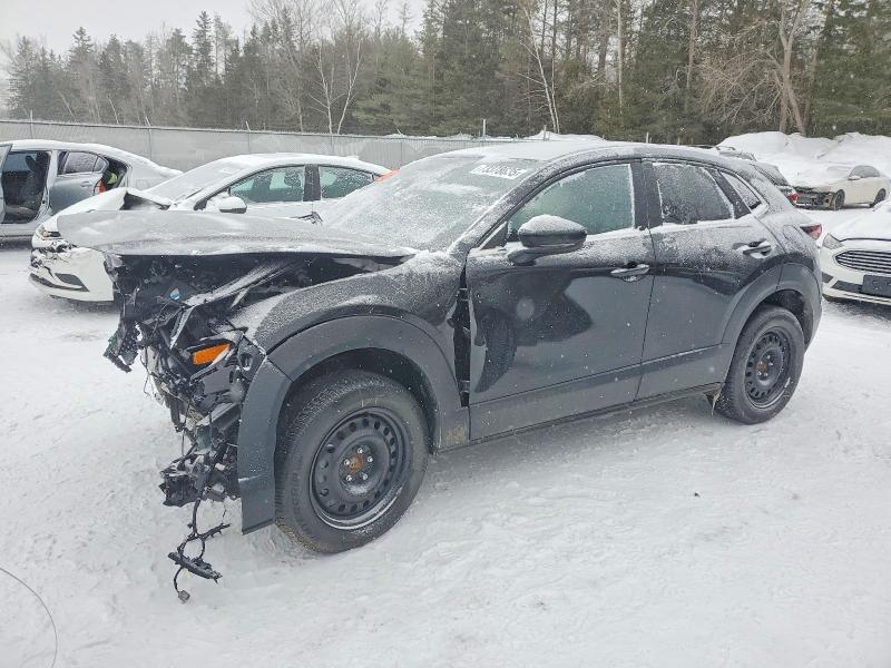 MAZDA CX-30 PREF 2024 with VIN 3MVDMBCM8RM636173 - Photo from auction