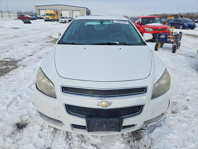 Photo 5 from auction – 2010 CHEVROLET MALIBU 1LT with VIN 1G1ZC5E07AF169217
