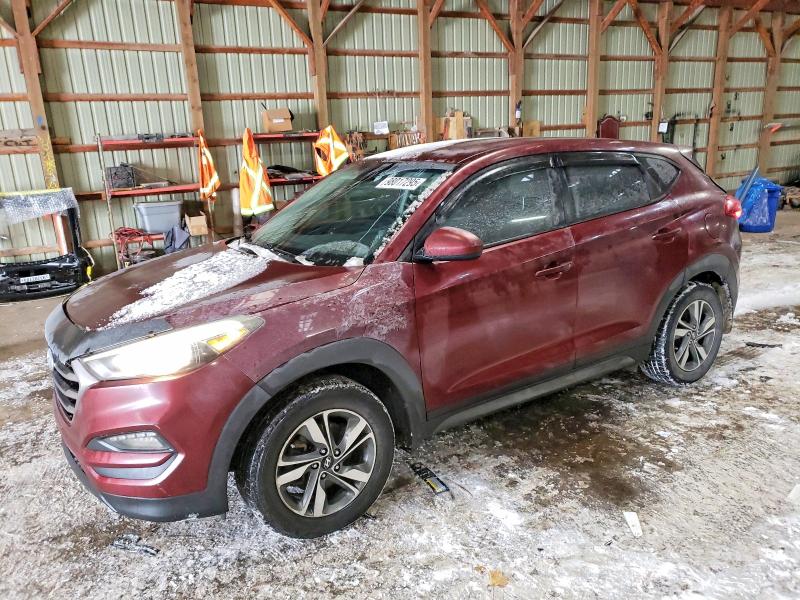 HYUNDAI TUCSON SE 2016 with VIN KM8J23A44GU186657 - Photo from auction