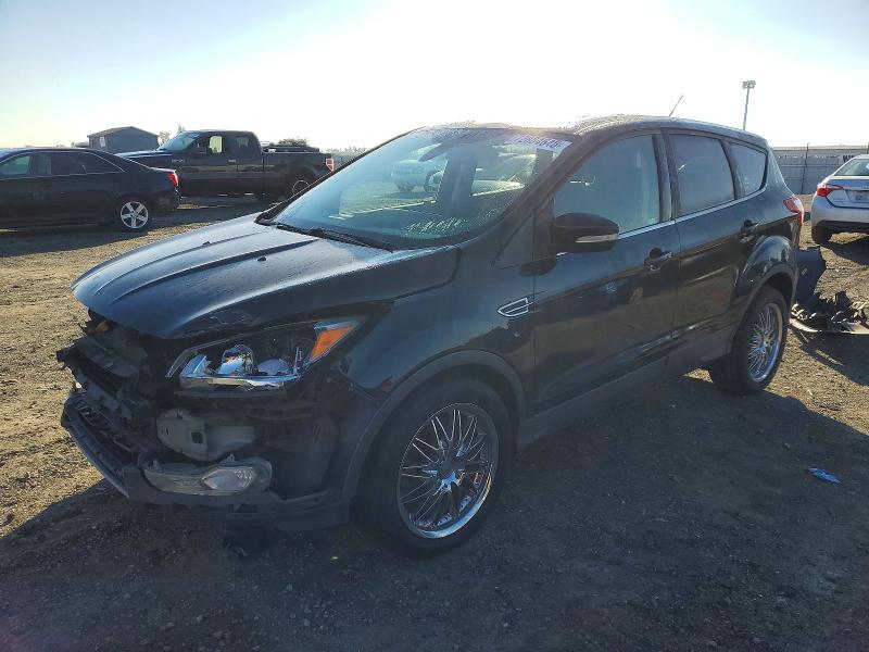 FORD ESCAPE SEL 2013 with VIN 1FMCU0H91DUA41266 - Photo from auction