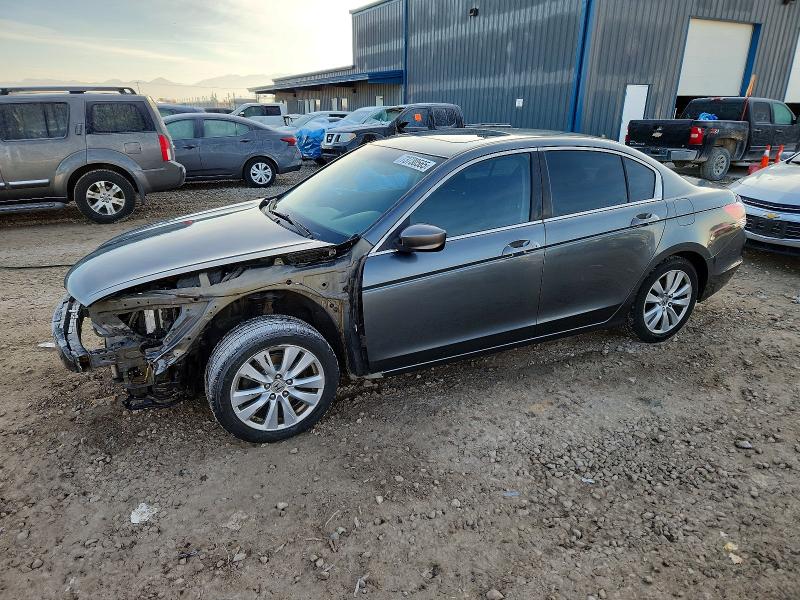 HONDA ACCORD EX 2011 with VIN 1HGCP2F76BA000527 - Photo from auction