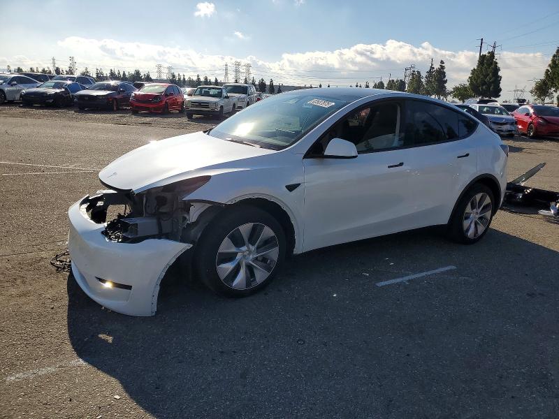 TESLA MODEL Y 2024 with VIN 7SAYGDEE3RA261633 - Photo from auction