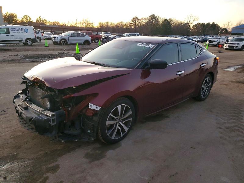 NISSAN MAXIMA 2020 with VIN 1N4AA6BV2LC366404 - Photo from auction