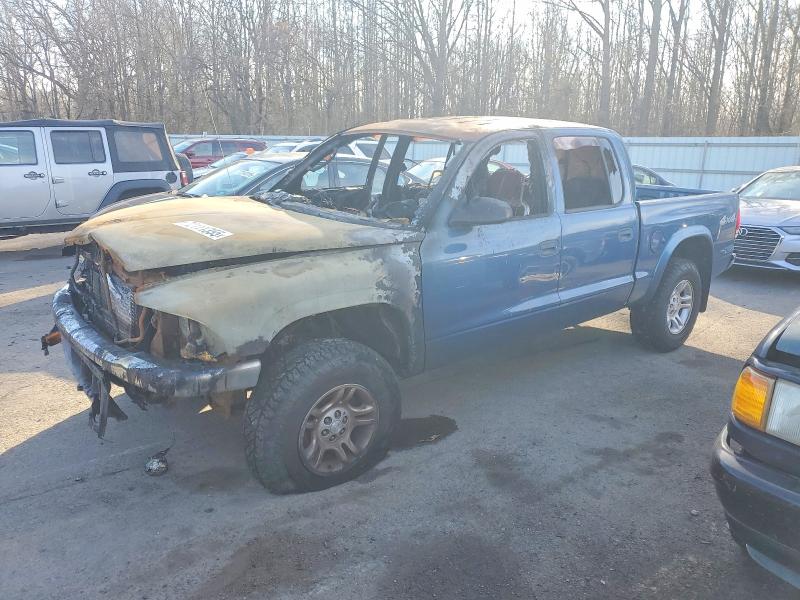 DODGE DAKOTA QUA 2004 with VIN 1D7HG48N64S641062 - Photo from auction